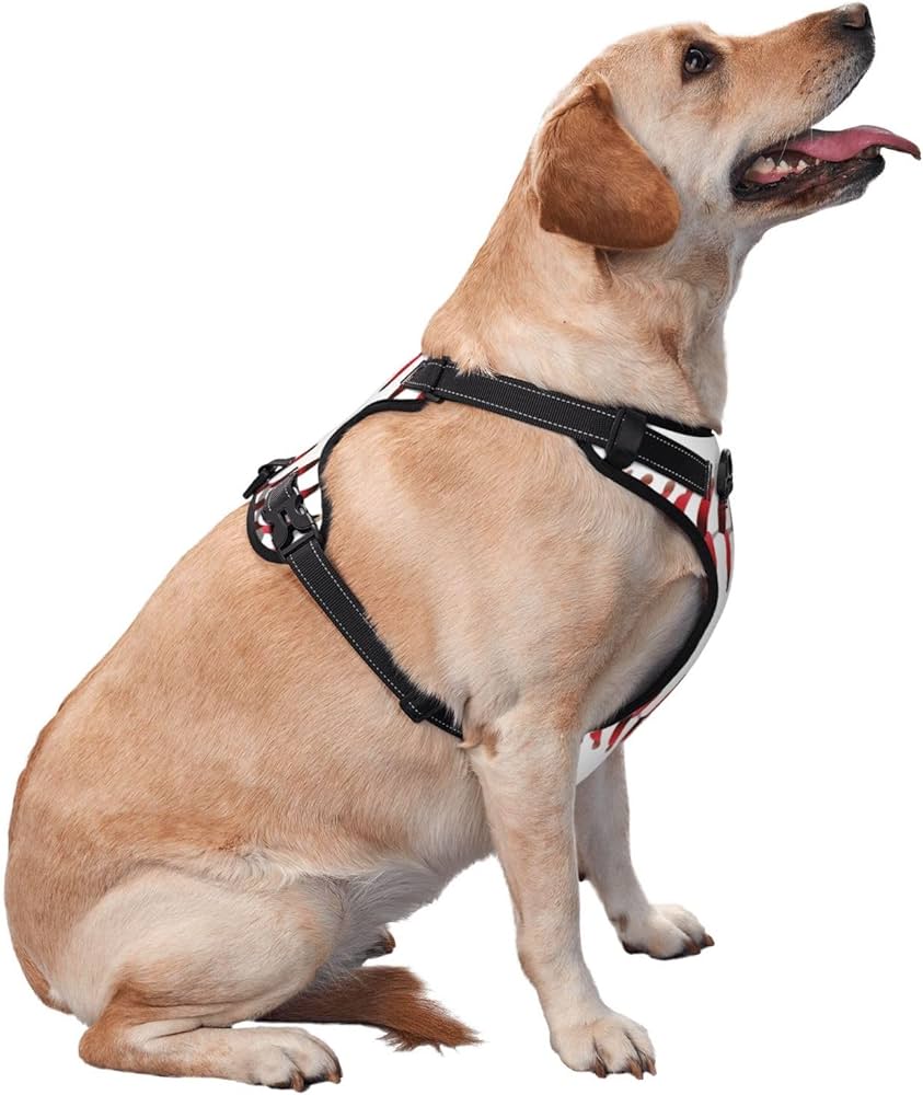 ECHOA™ -  PERSONALIZED NO PULL DOG HARNESS