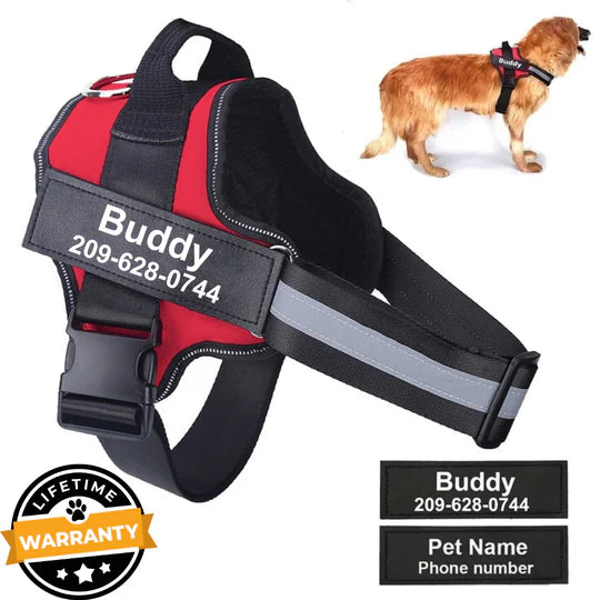 ECHOA™ -  PERSONALIZED NO PULL DOG HARNESS