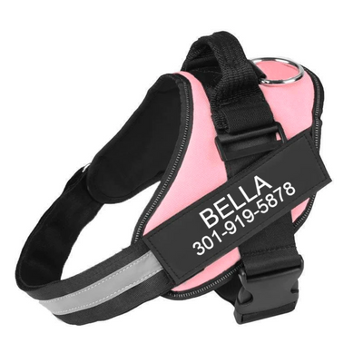 ECHOA™ -  PERSONALIZED NO PULL DOG HARNESS