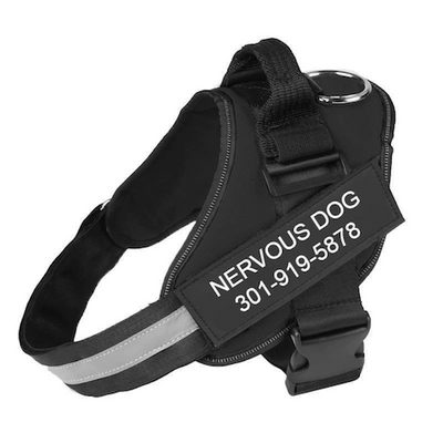 ECHOA™ -  PERSONALIZED NO PULL DOG HARNESS