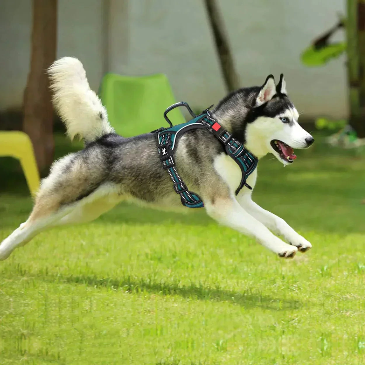 ECHOA™ -  PERSONALIZED NO PULL DOG HARNESS