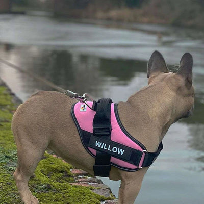 ECHOA™ -  PERSONALIZED NO PULL DOG HARNESS